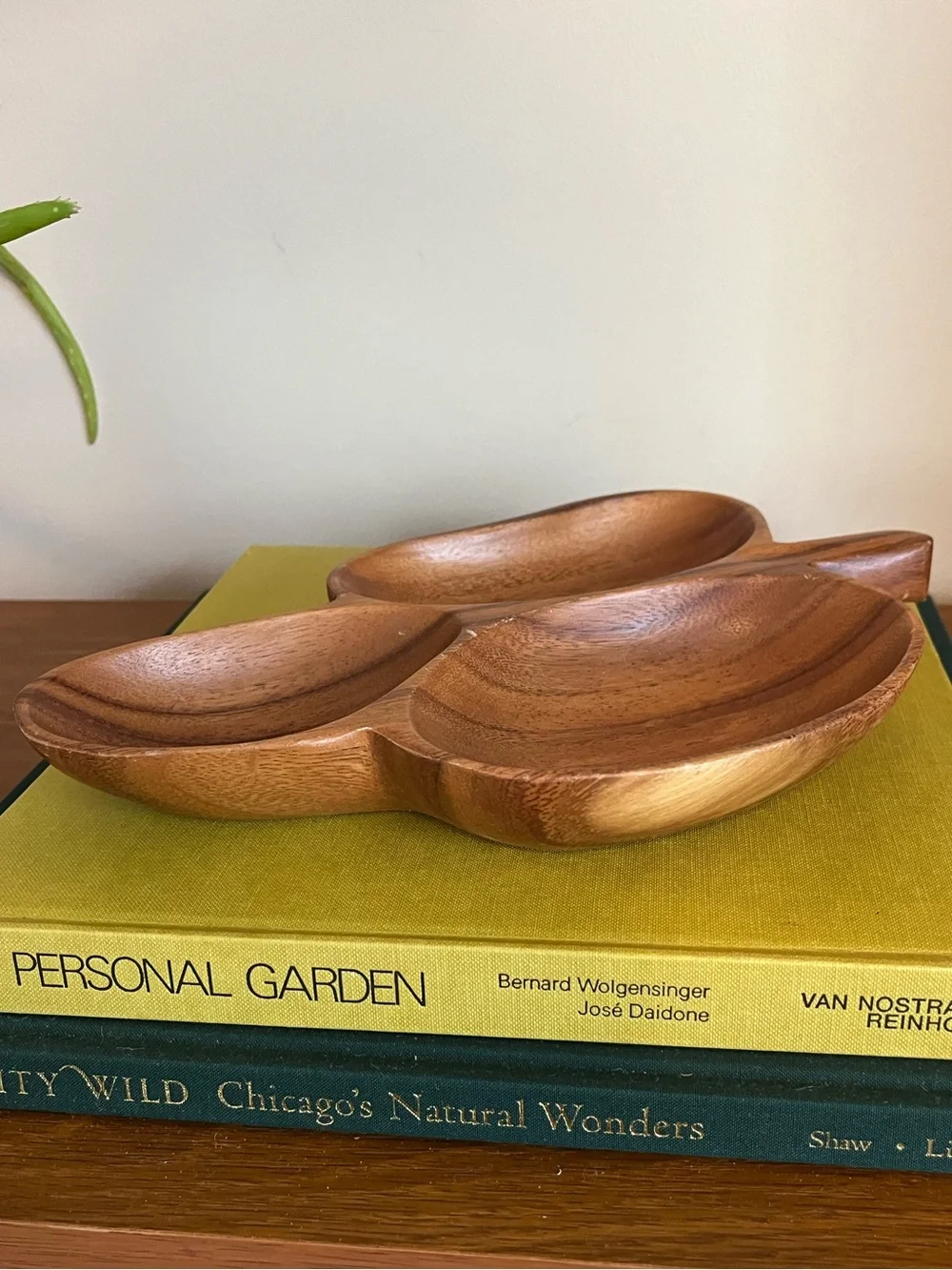 Wood Serving Dish Trio - Natural Brown